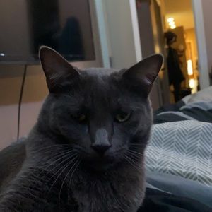 Meet your Posher, Daniel